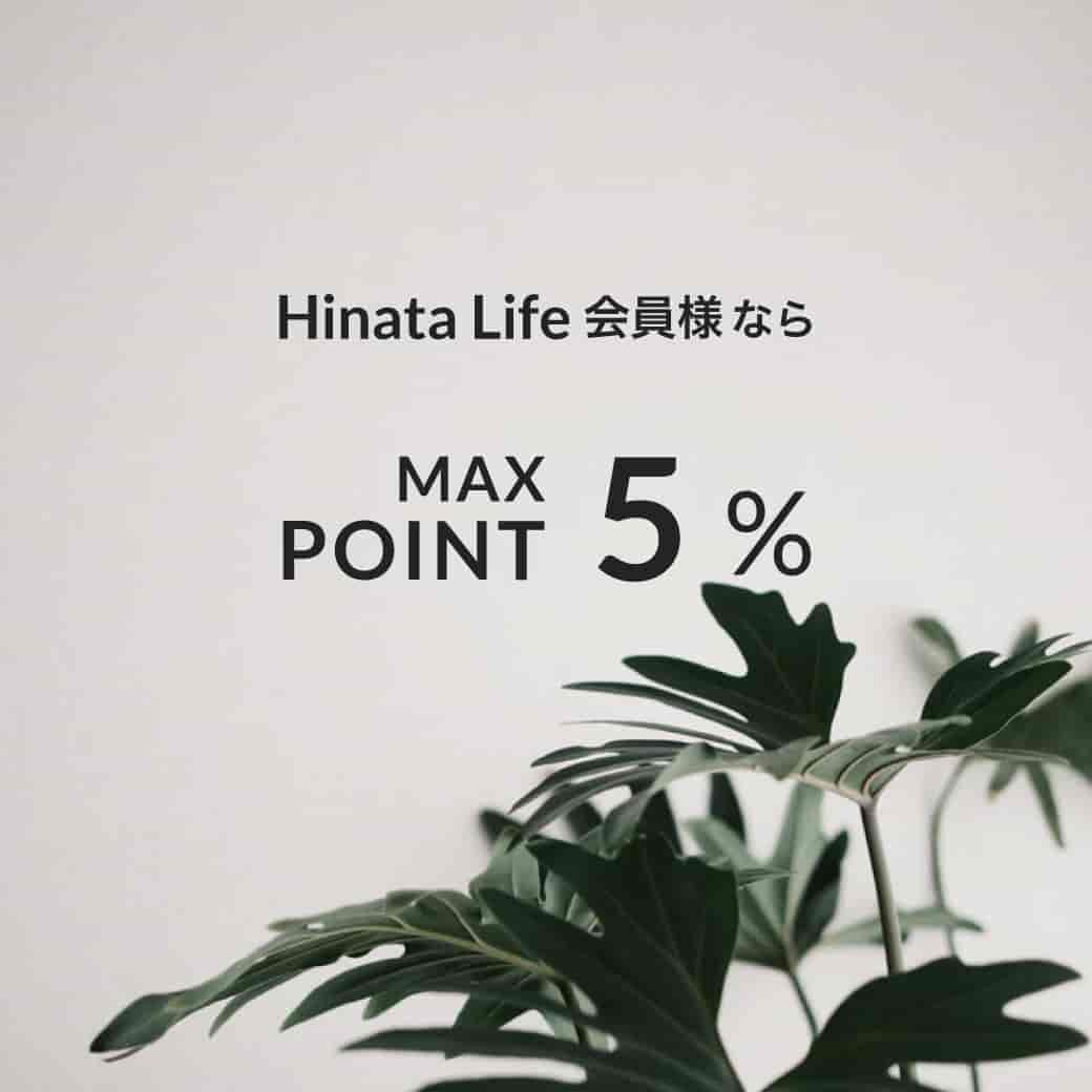 Hinata Lifeのポイント画像